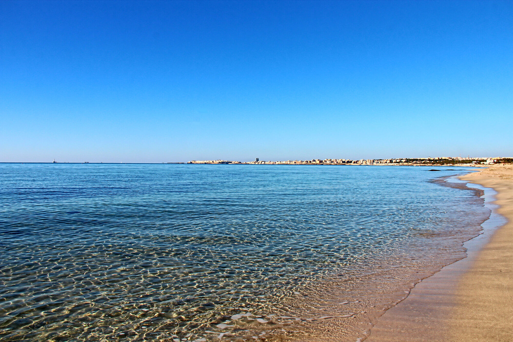 La spiaggia di Punta Pizzo a Gallipoli, nel Parco Naturale Regionale 'Isola di Sant'Andrea - Litorale di Punta Pizzo', offre un paesaggio incontaminato con spiagge sabbiose e una folta pineta.